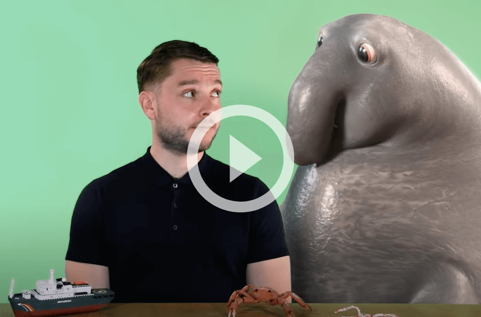 Male presenter looking at an animated elephant seal to the side of him. The background is just plain light green. 