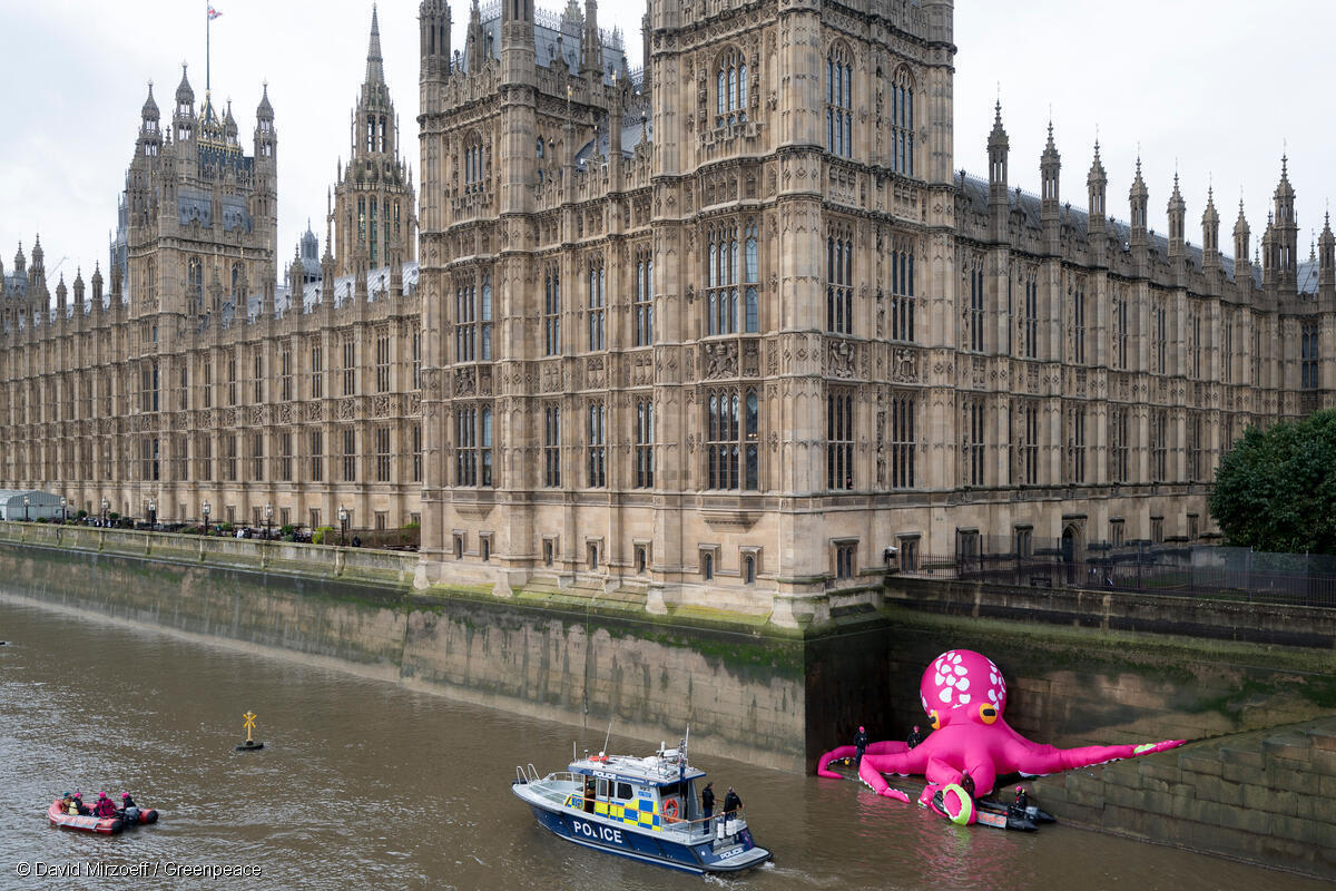 Octo-activist Coral outside the Houses of Parliament